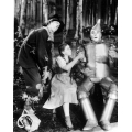 Wizard of Oz Judy Garland Photo